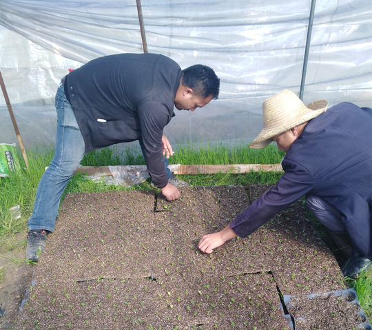 郴州蓮山莊園,郴州生態(tài)山莊,郴州原生態(tài)休閑農(nóng)業(yè)莊園,郴州鄉(xiāng)村旅游