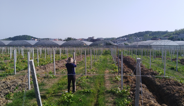 郴州蓮山莊園,郴州生態(tài)山莊,郴州原生態(tài)休閑農(nóng)業(yè)莊園,郴州鄉(xiāng)村旅游 郴州蓮山莊園,郴州生態(tài)山莊,郴州原生態(tài)休閑農(nóng)業(yè)莊園,郴州鄉(xiāng)村旅游